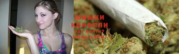мдпв Кодинск