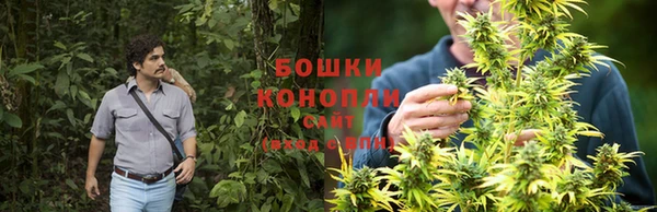 мдпв Кодинск