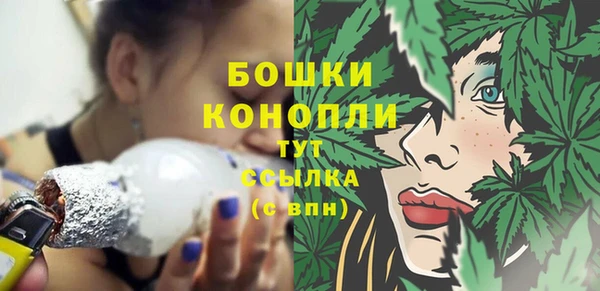 apvp Козельск