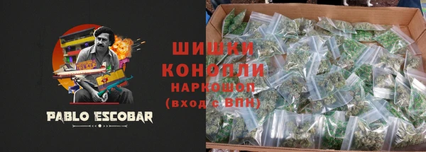 apvp Козельск