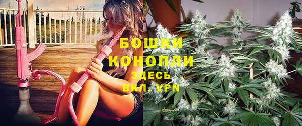 apvp Козельск