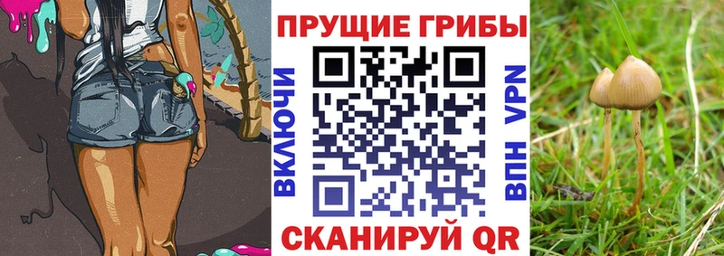 Псилоцибиновые грибы мухоморы цены наркотик Спасск